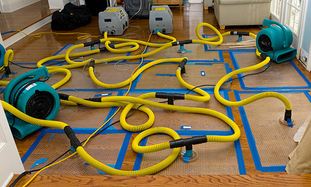 Professional Basement Flood Cleanup technician working in Lacona, IA